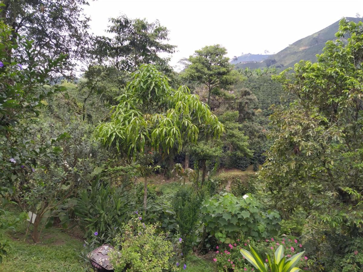 Vila Hacienda Guayabal Chinchiná Exteriér fotografie